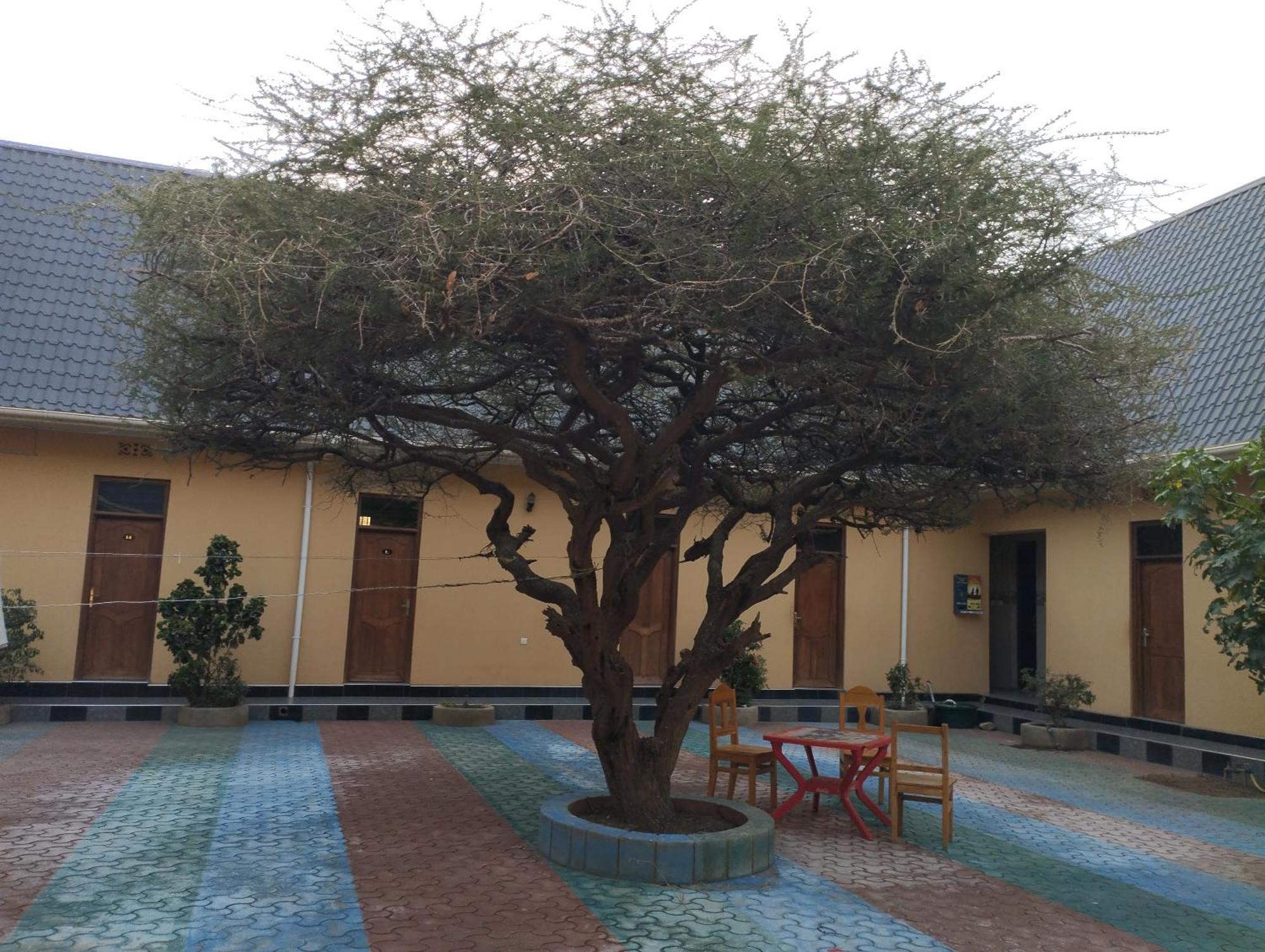 Lake Eyasi Safari Motel Mangola Exterior foto